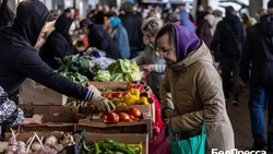 Вячеслав Гладков: на сельскохозяйственных ярмарках должно быть не менее 50 торговых точек