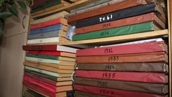 Постановление главы Краснояружского муниципального округа №6 от 1 апреля 2026 года