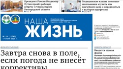 Газета «Наша жизнь» №29 от 17 июля 2025 года